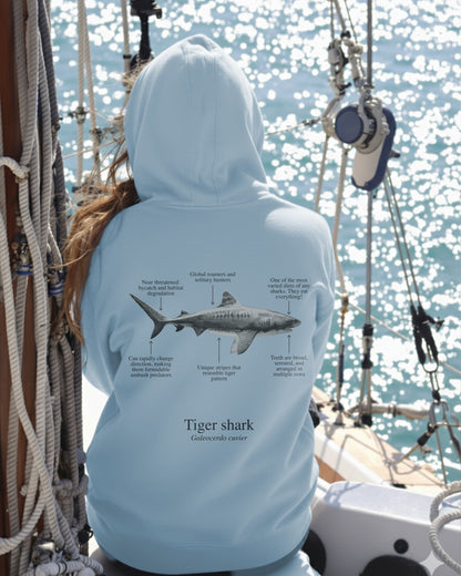 Hoodie (NEW) Tiburón Tigre