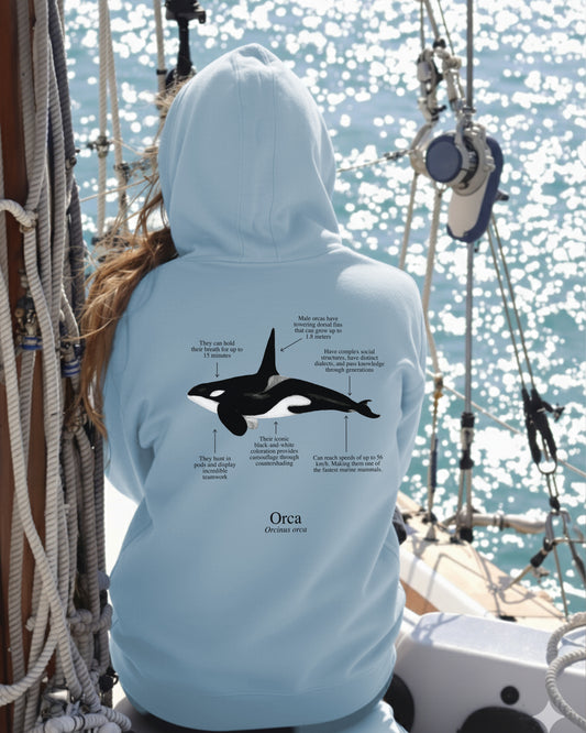 Orca Hoodie (NEW) Colores claros