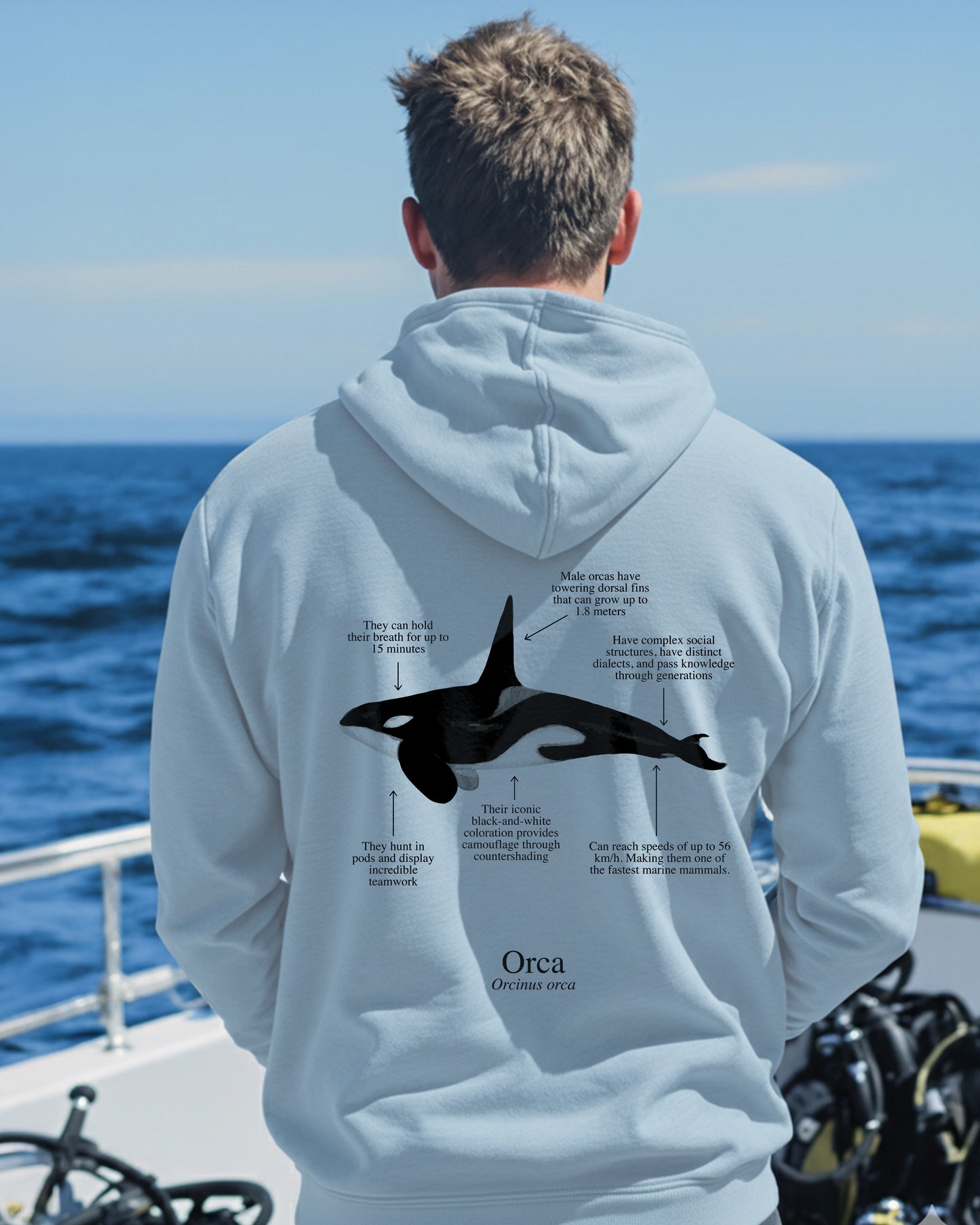 Orca Hoodie (NEW) Colores claros