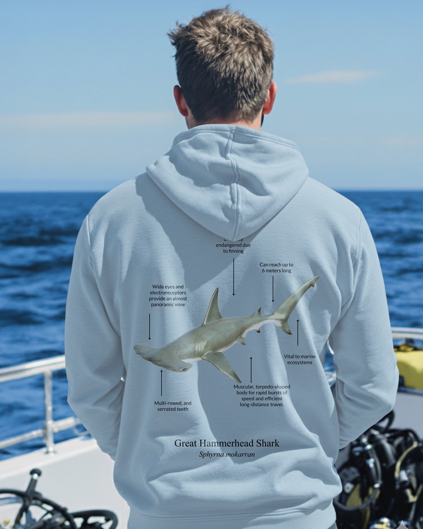 Hoodie (NEW) Tiburón Martillo Colores claros