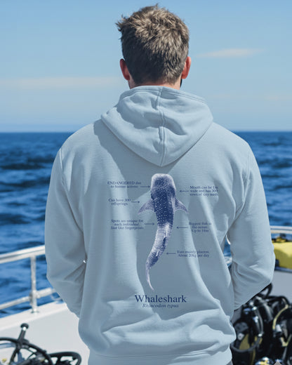 Hoodie (NEW) Tiburón Ballena colores claros