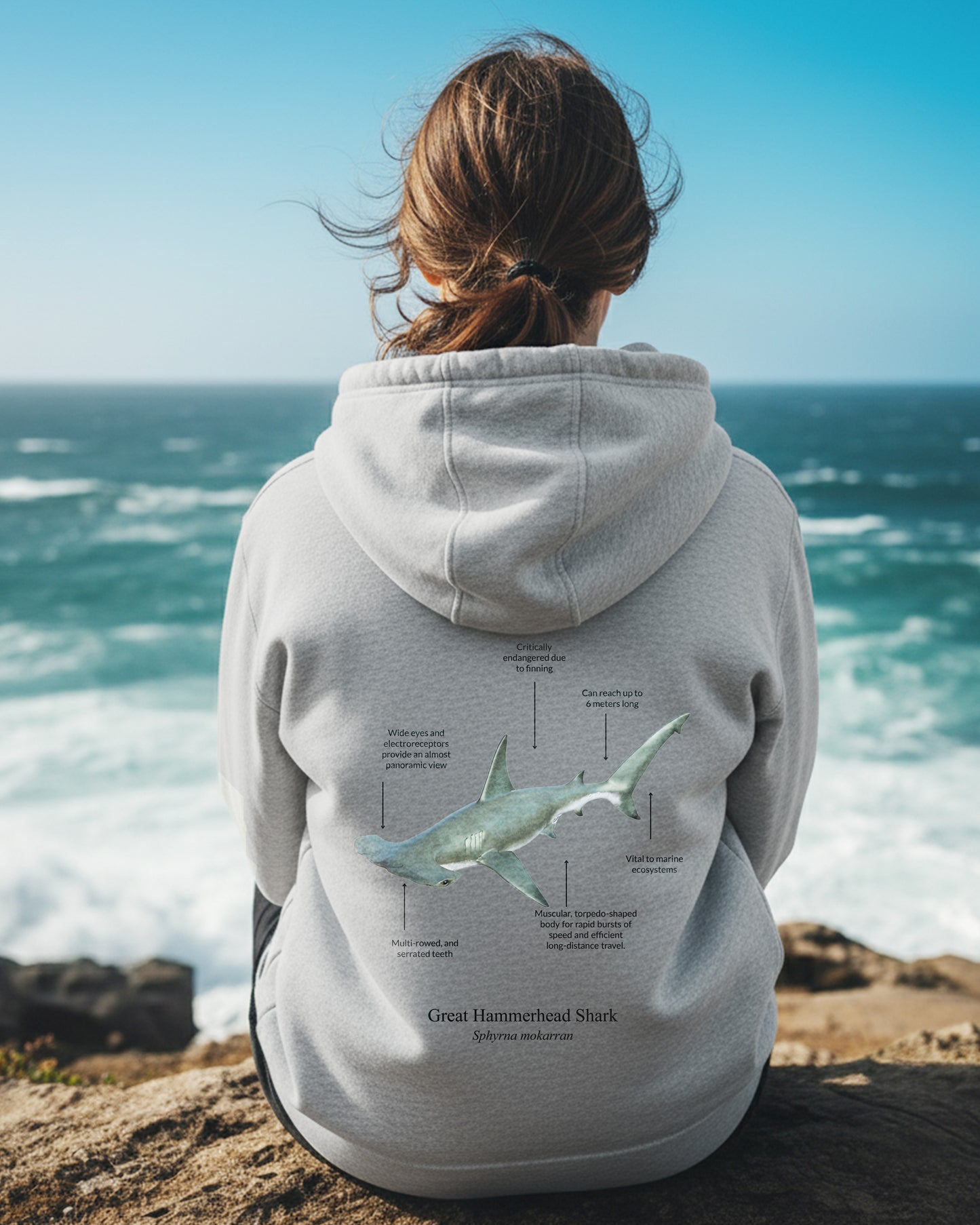 Hoodie (NEW) Tiburón Martillo Colores claros