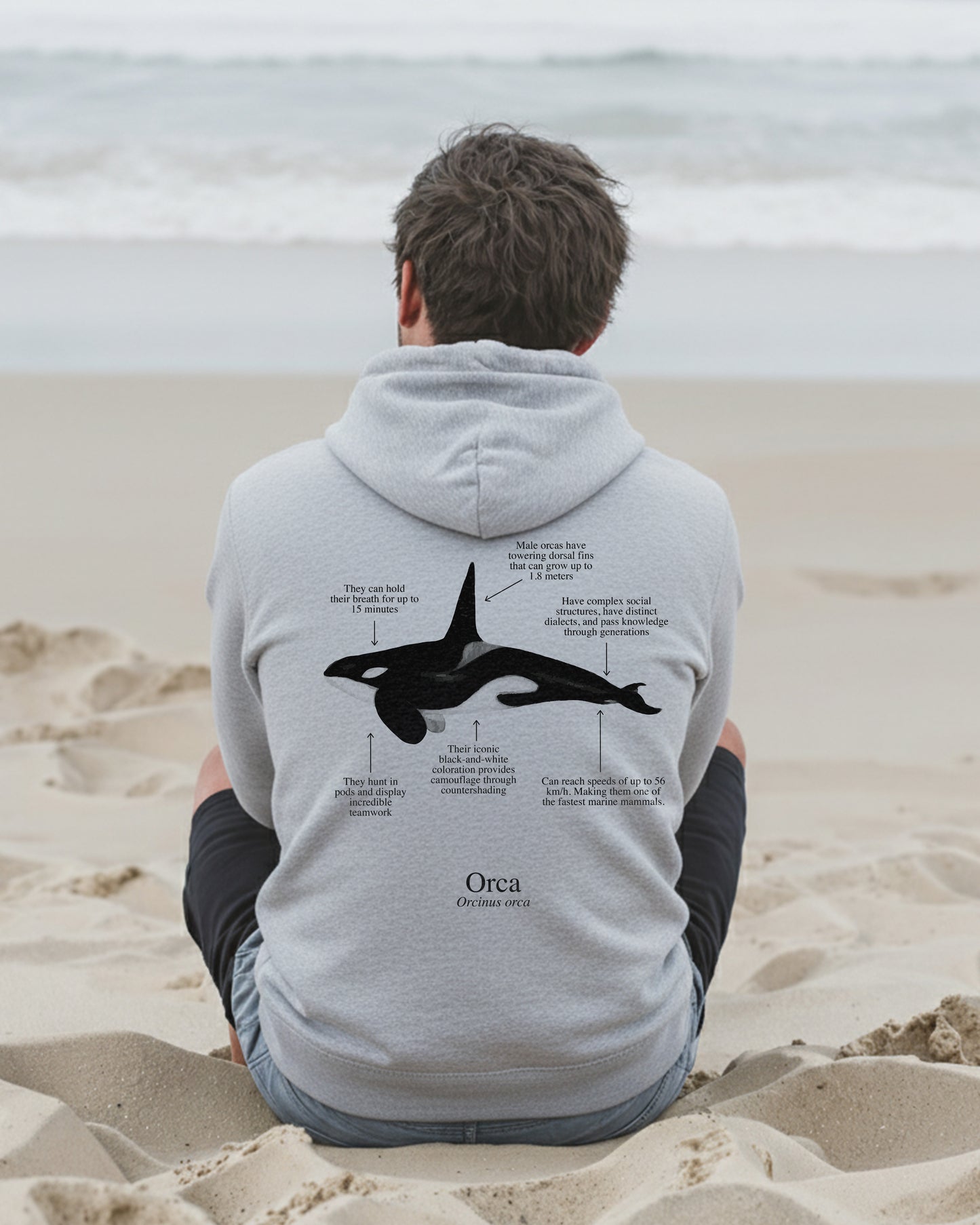 Orca Hoodie (NEW) Colores claros
