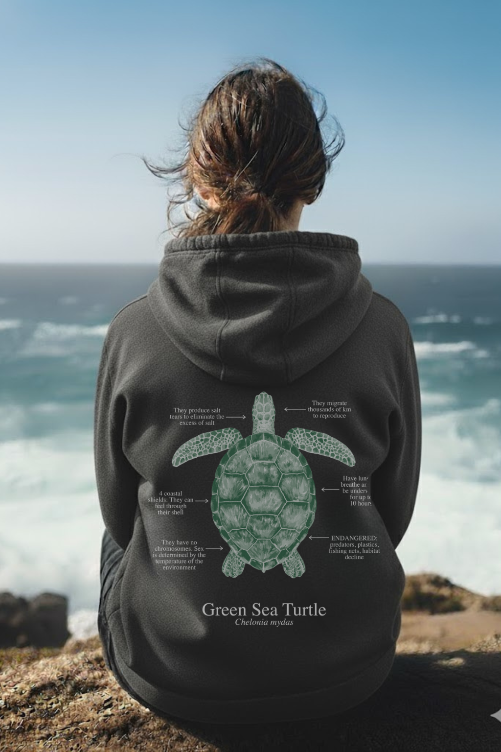 Hoodie (NEW) Tortuga colores oscuros