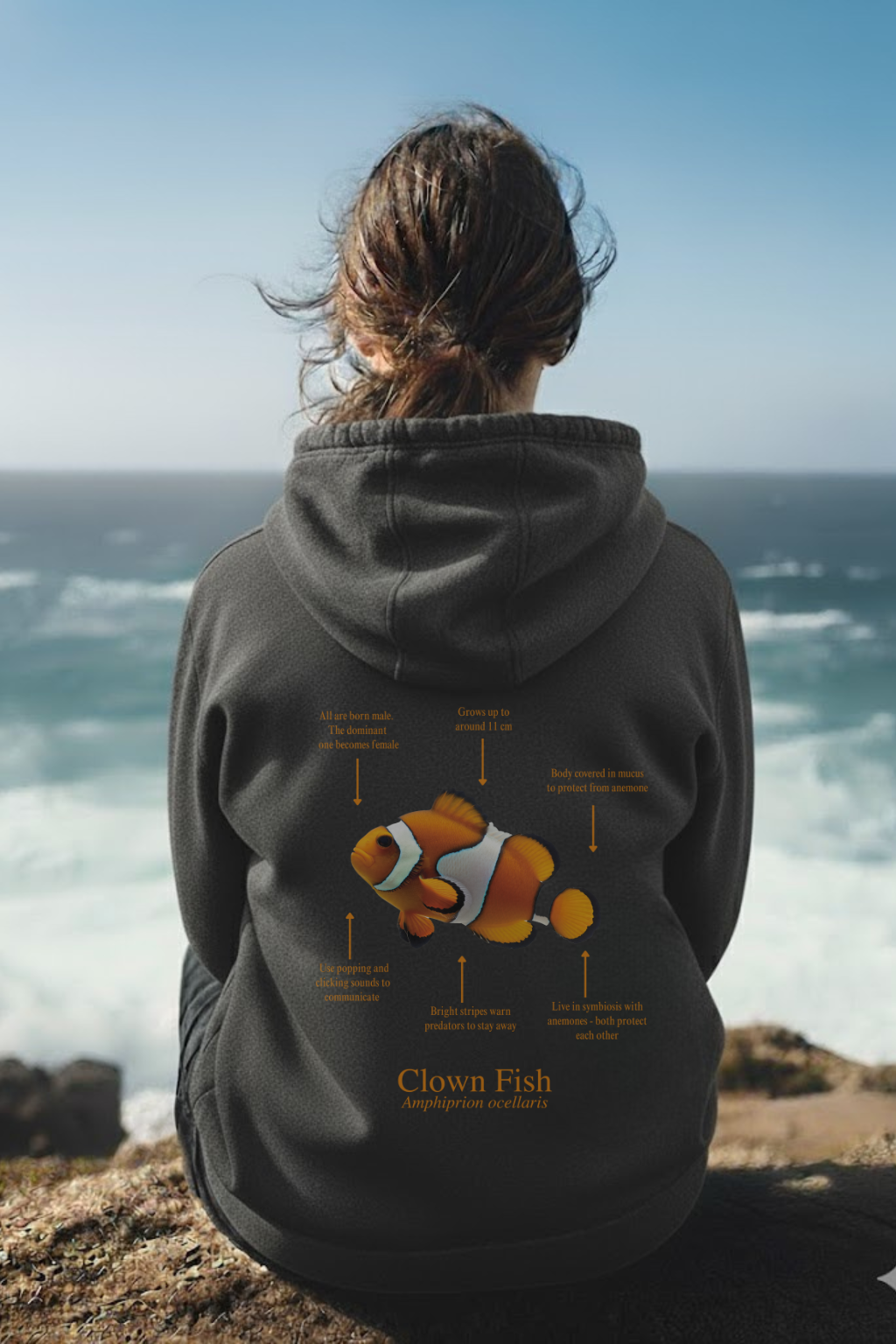 Hoodie (NEW) Pez payaso