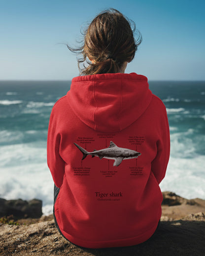 Hoodie (NEW) Tiburón Tigre