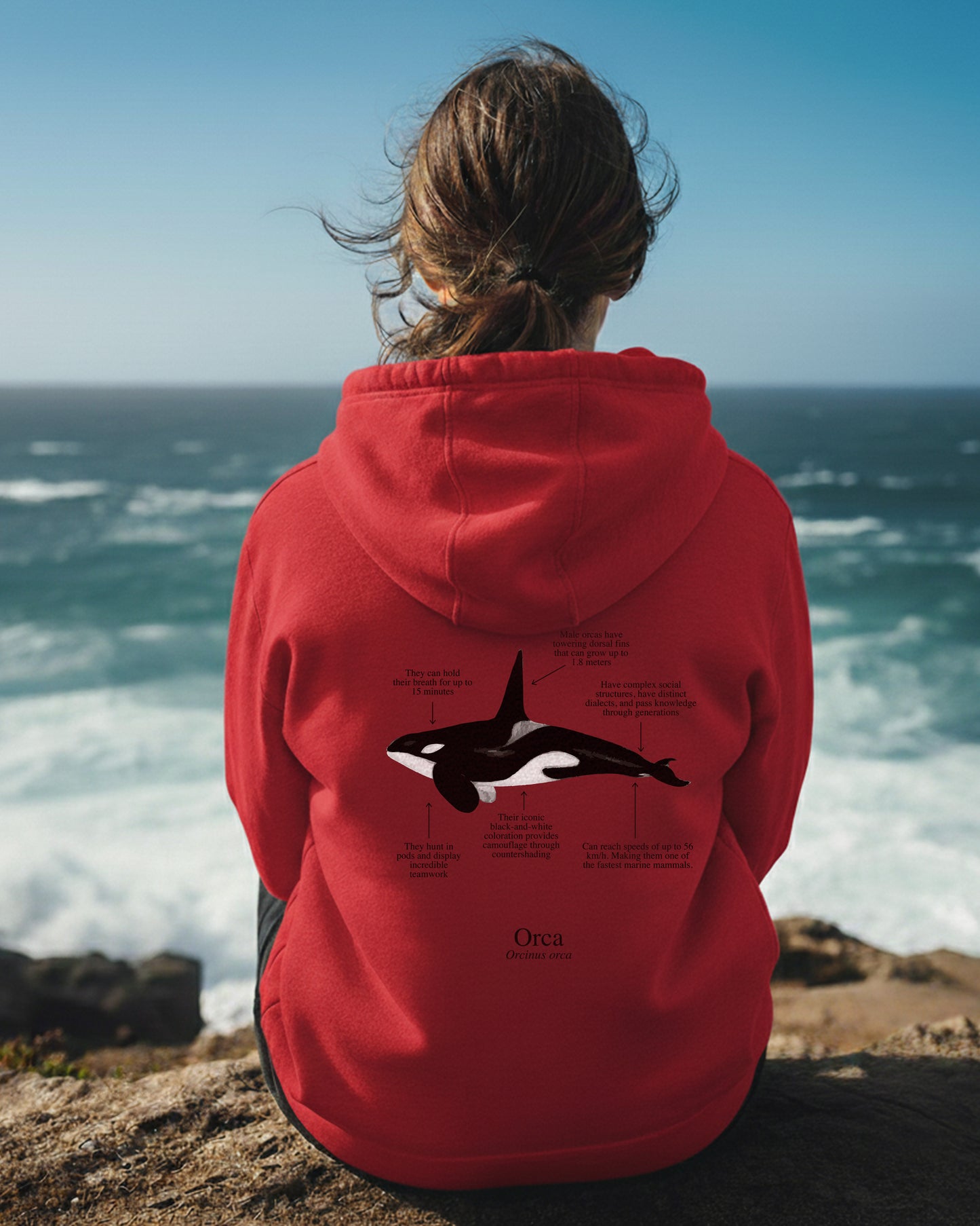 Orca Hoodie (NEW) Colores claros