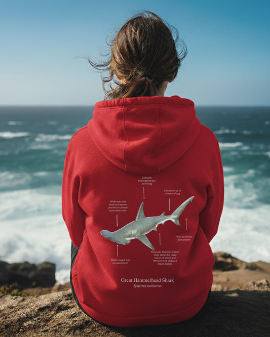Hoodie (NEW) Tiburón Martillo Colores claros