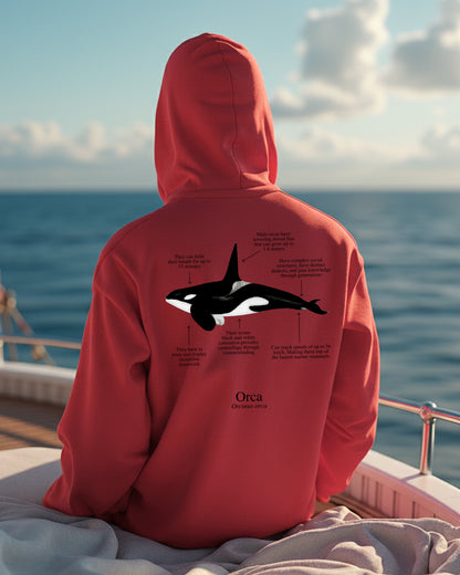 Orca Hoodie (NEW) Colores claros