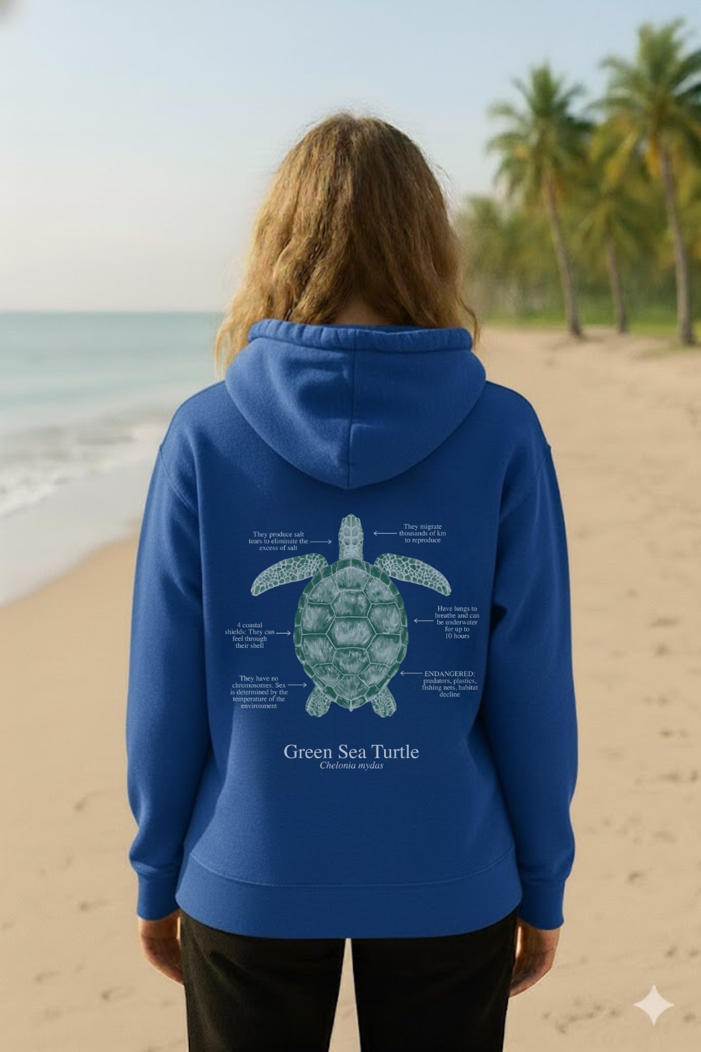 Hoodie (NEW) Tortuga colores oscuros