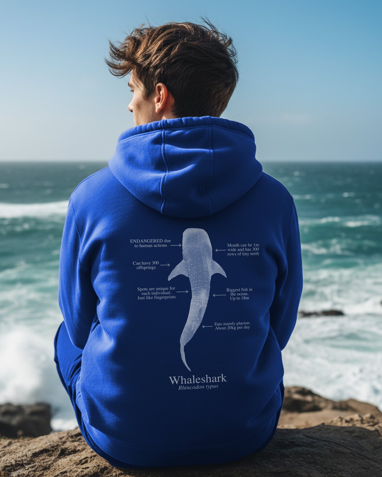 Tiburón Ballena Hoodie (NEW) Colores oscuros