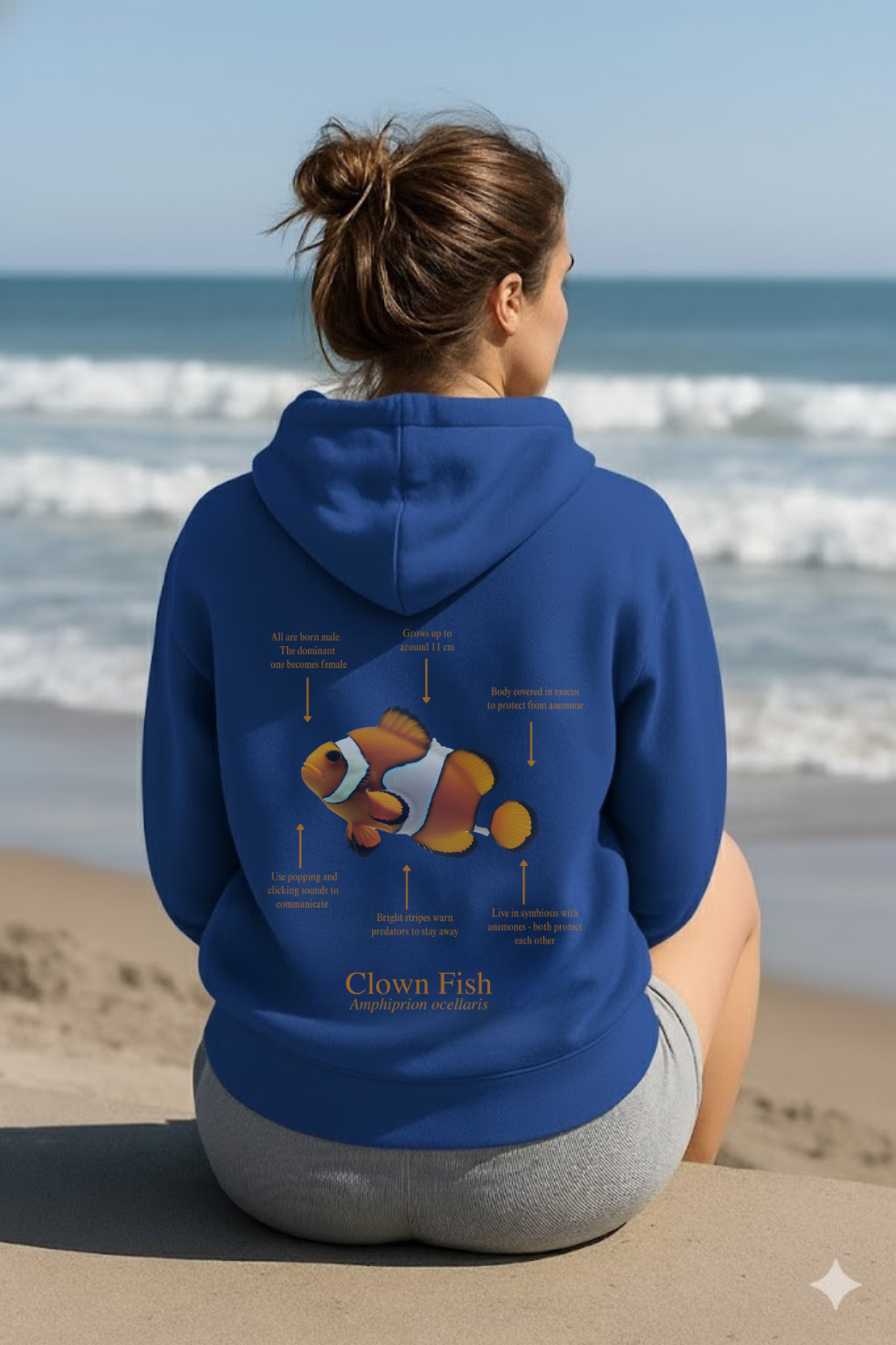 Hoodie (NEW) Pez payaso