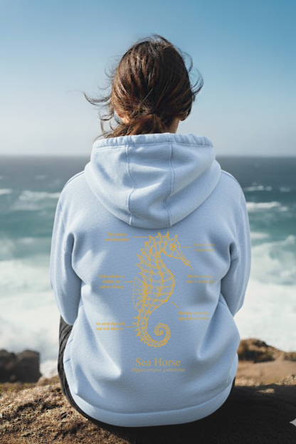 Hoodie (NEW) Caballito