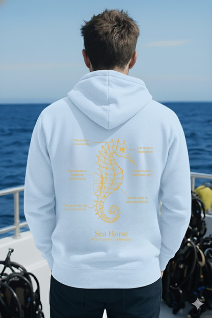 Hoodie (NEW) Caballito