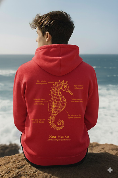 Hoodie (NEW) Caballito