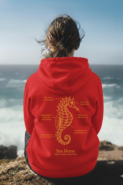 Hoodie (NEW) Caballito