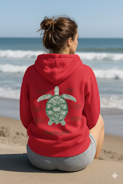 Hoodie (NEW) Tortuga colores claros