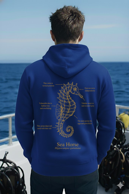 Hoodie (NEW) Caballito