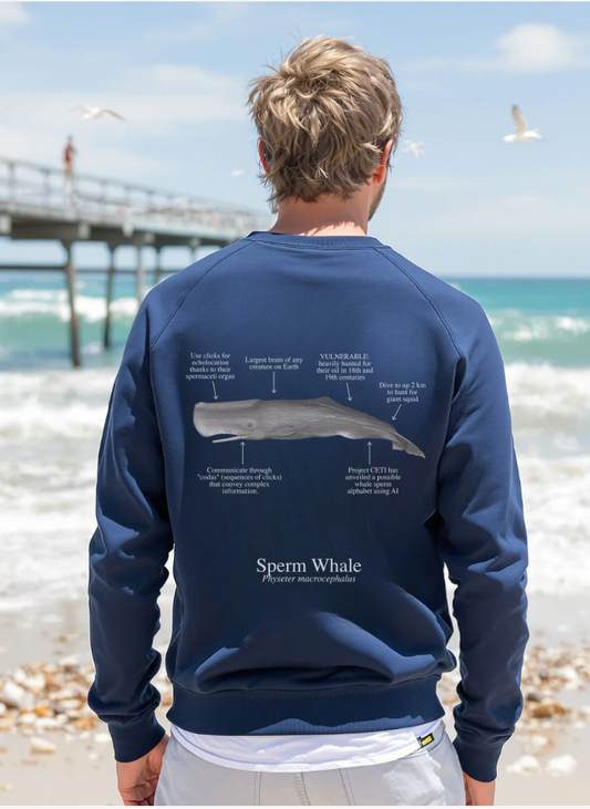 Sudadera ligera verano ECO - Cachalote