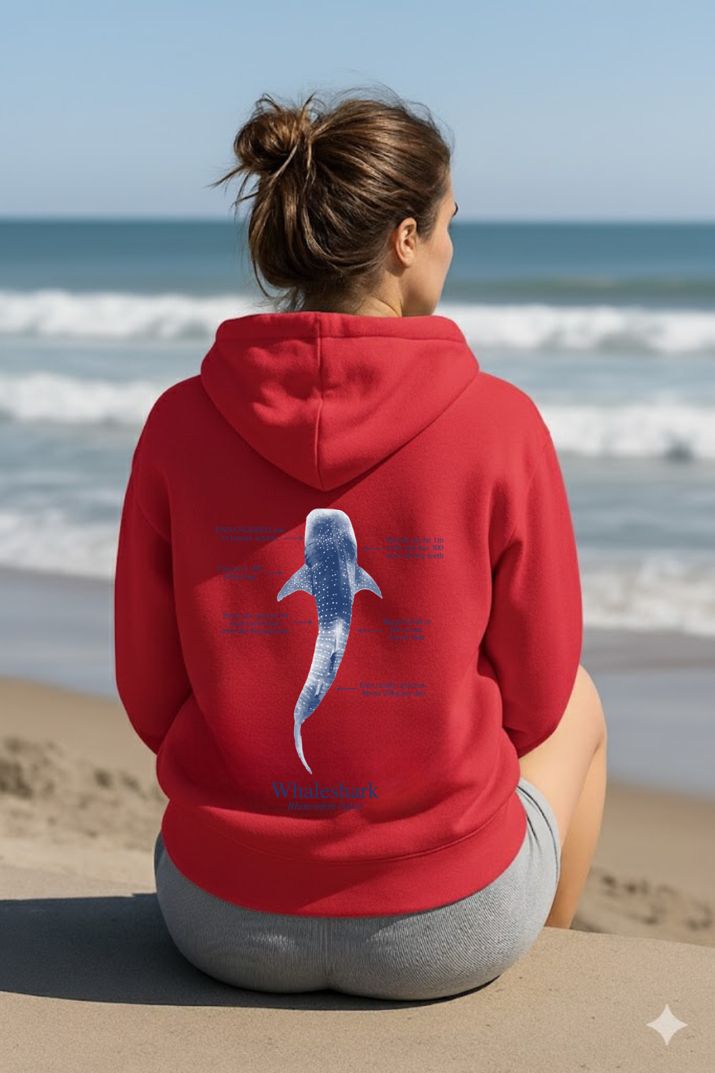 Hoodie (NEW) Tiburón Ballena colores claros