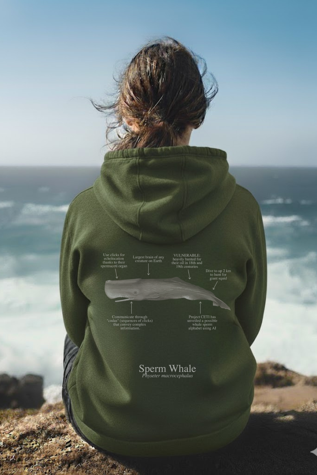 Hoodie (NEW) Cachalote colores oscuros