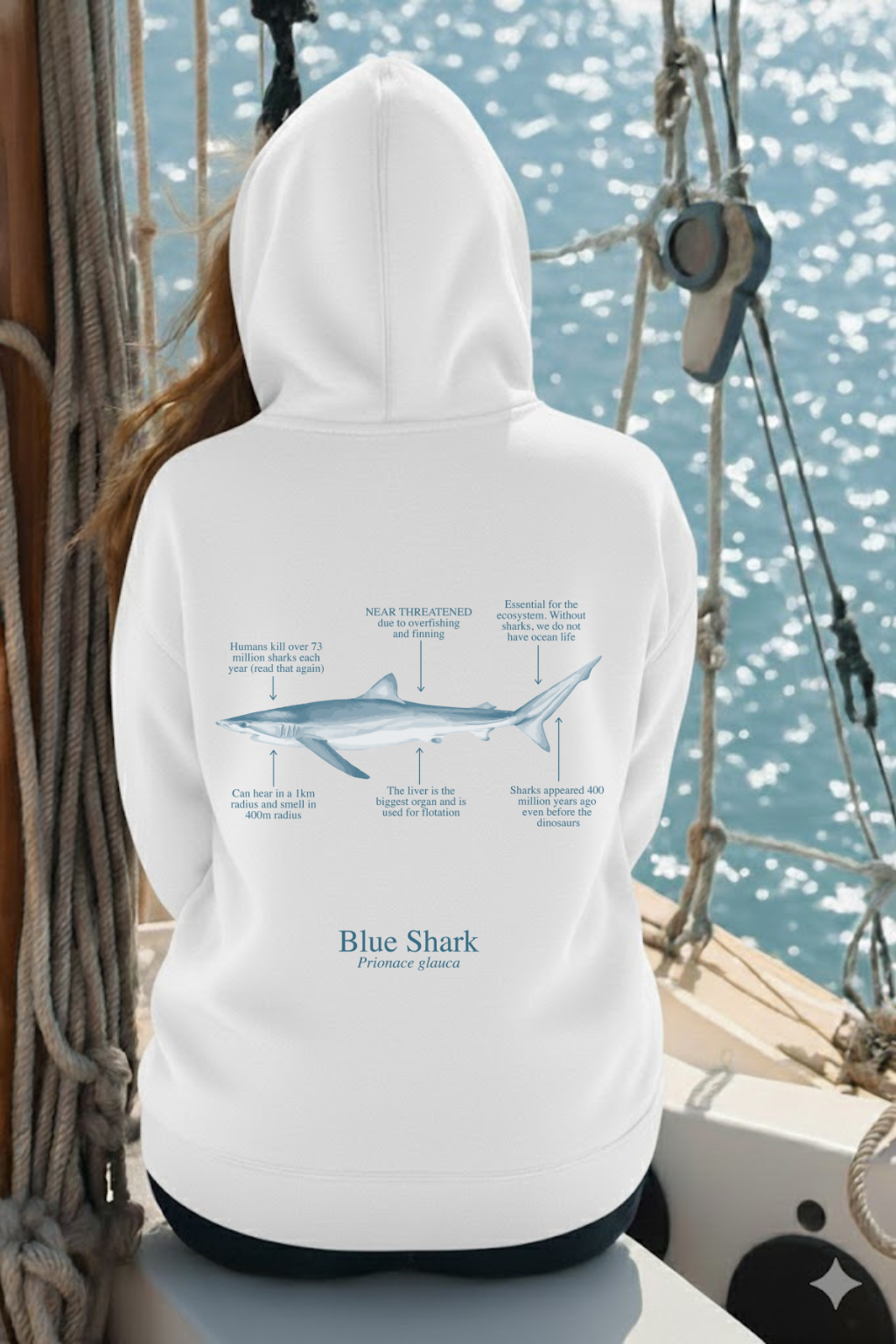 Hoodie (NEW) Tiburón azul colores claros