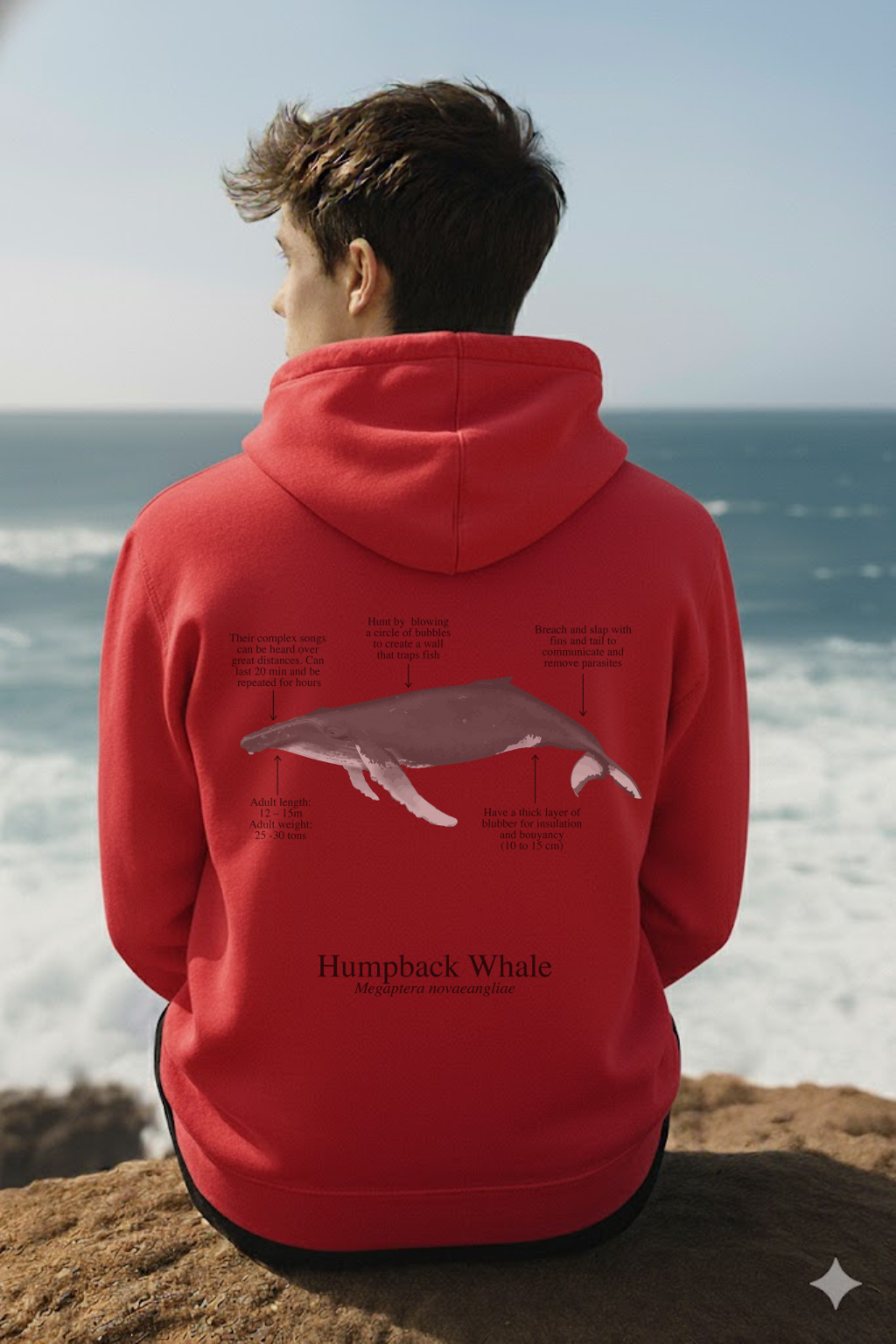 Hoodie (NEW) Ballena Jorobada colores claros
