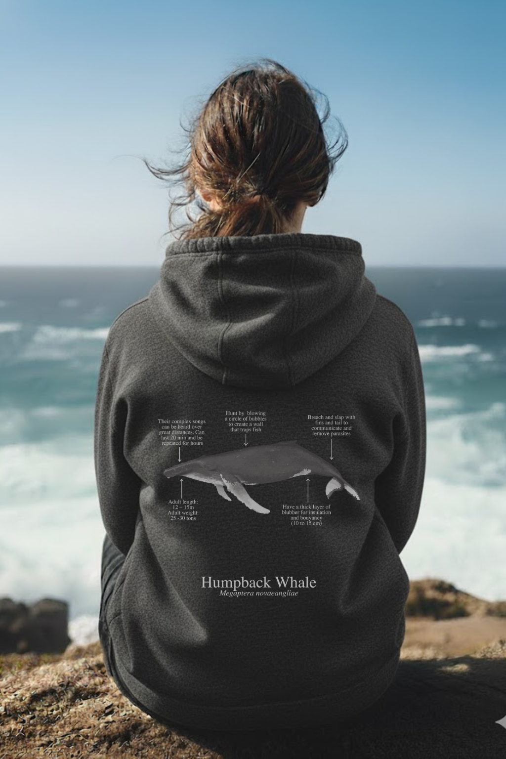 Hoodie (NEW) Ballena Jorobada colores oscuros