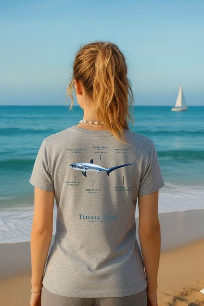 Camiseta de 100% algodón - Tiburón Zorro - colores claros - Unisex