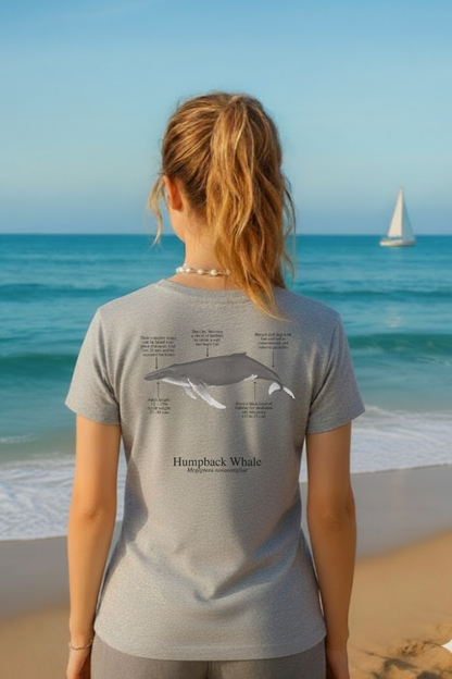 Camiseta 100% algodón Ballena Jorobada - colores claros - unisex