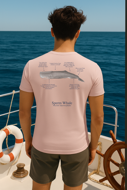 Camiseta 100% algodón Cachalote - colores claros - unisex