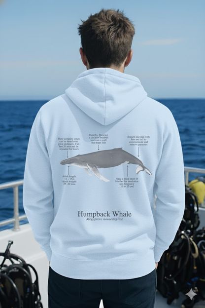 Hoodie (NEW) Ballena Jorobada colores claros