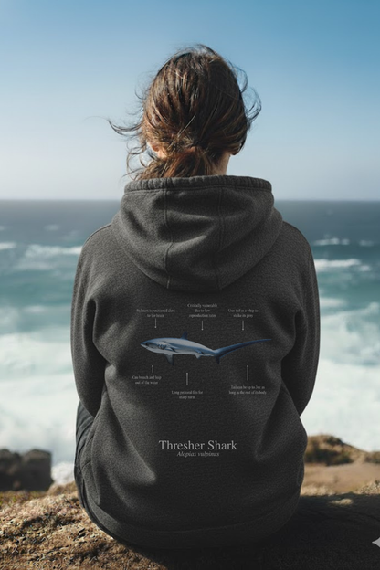 Hoodie (NEW) Tiburón Zorro