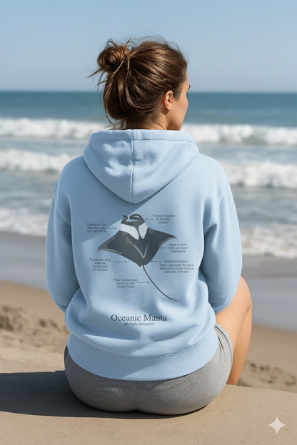 Hoodie (NEW) Manta colores claros