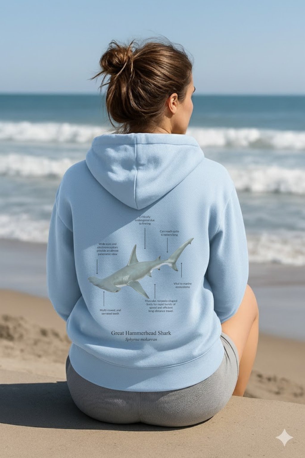 Hoodie (NEW) Tiburón Martillo Colores claros