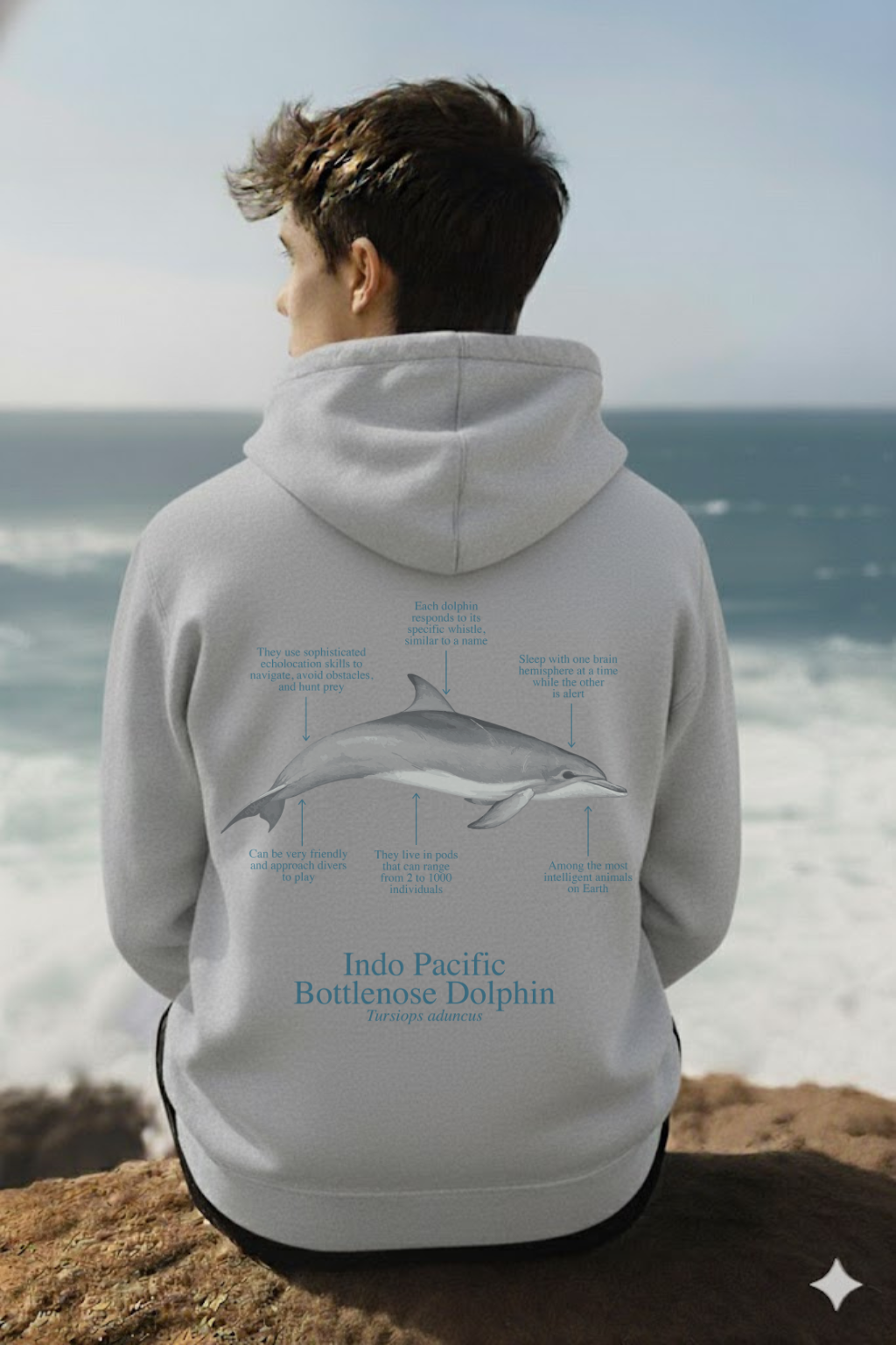 Hoodie (NEW) delfín colores claros