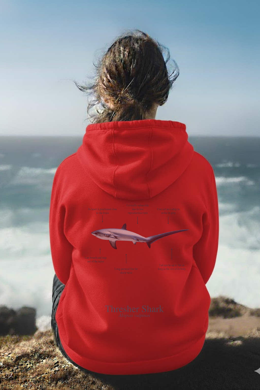 Hoodie (NEW) Tiburón Zorro colores claros