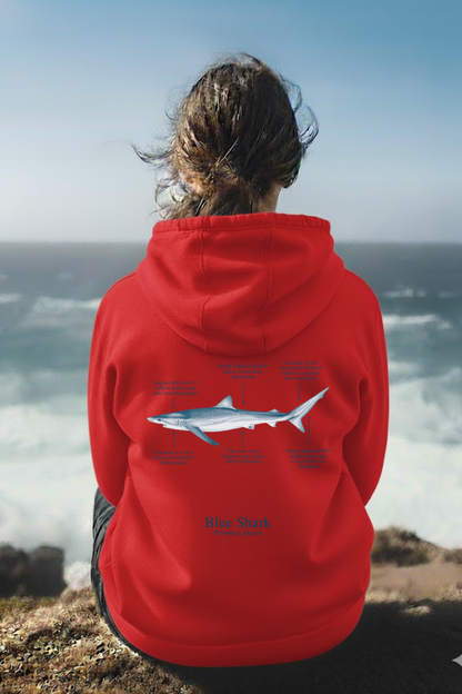 Hoodie (NEW) Tiburón azul colores claros