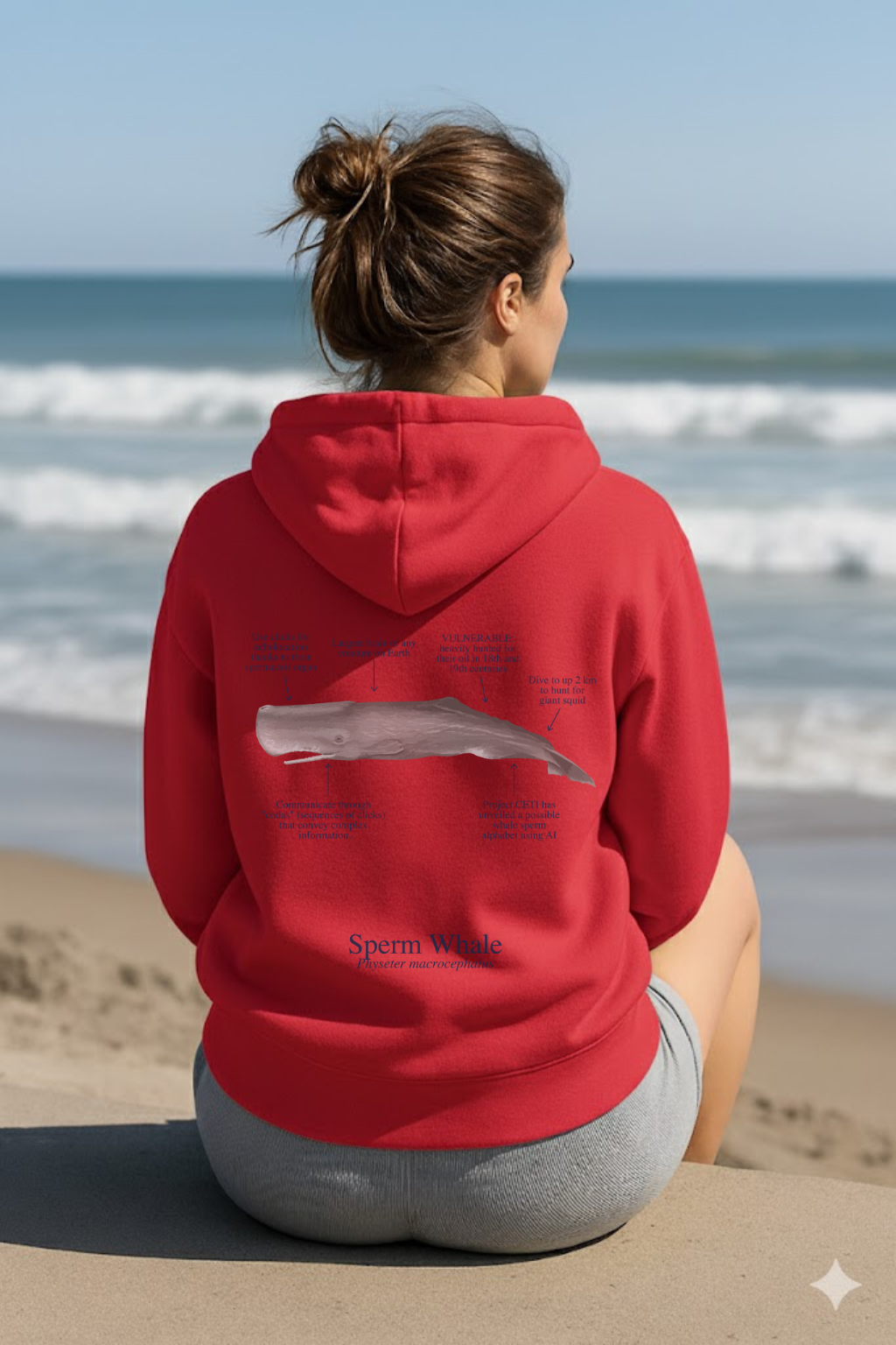 Hoodie (NEW) Cachalote