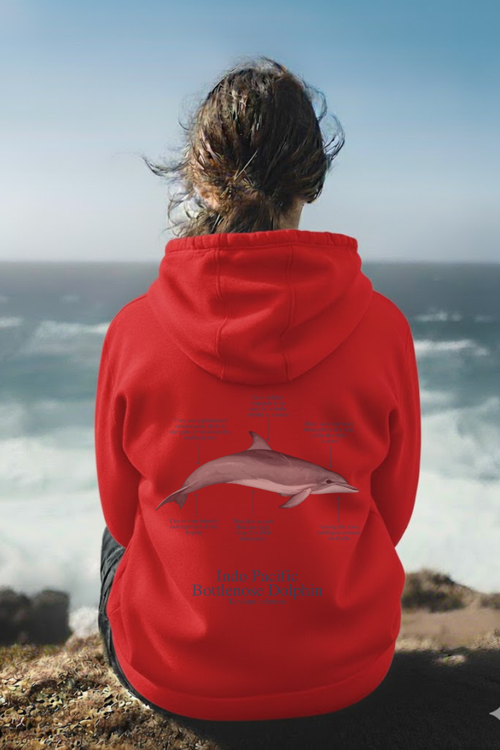 Hoodie (NEW) delfín colores claros