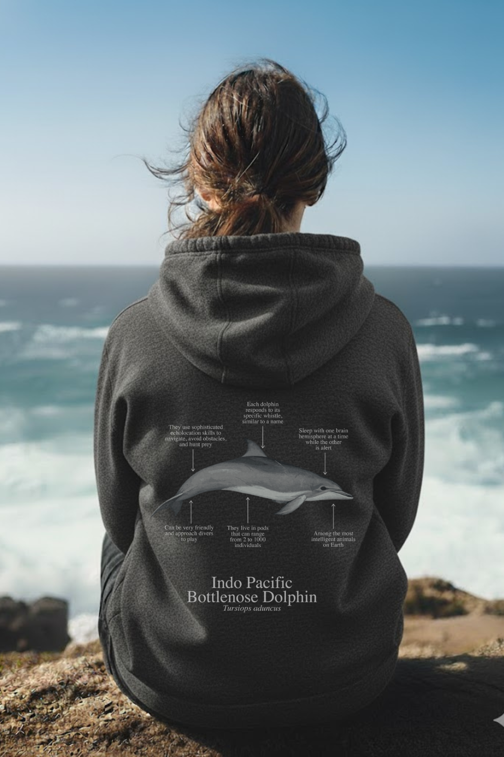 Hoodie (NEW) Delfín colores oscuros