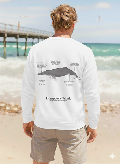 Humpback Whale Premium Sweatshirt - Light Colors - Unisex