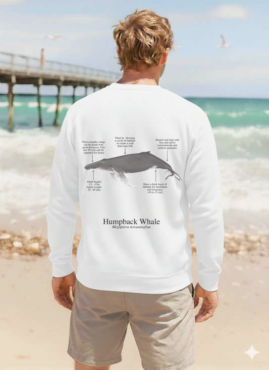 Sudadera premium Ballena Jorobada - colores claros