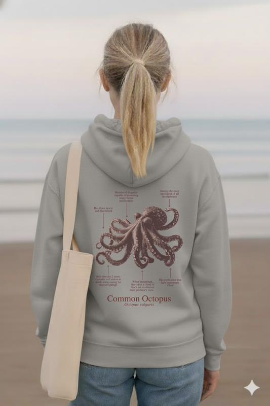 Hoodie (NEW) Pulpo colores claros