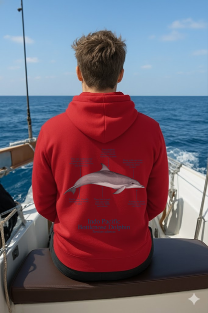 Hoodie (NEW) delfín colores claros