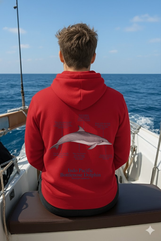 Hoodie (NEW) delfín colores claros