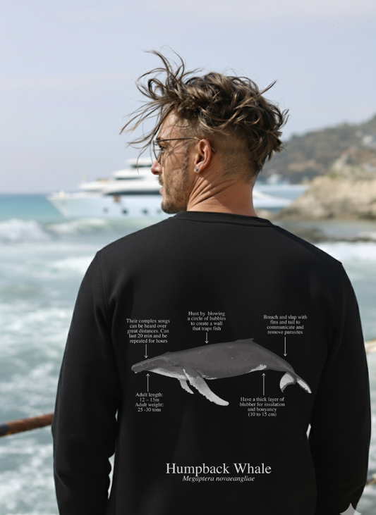 Sudadera premium Ballena Jorobada - colores oscuros