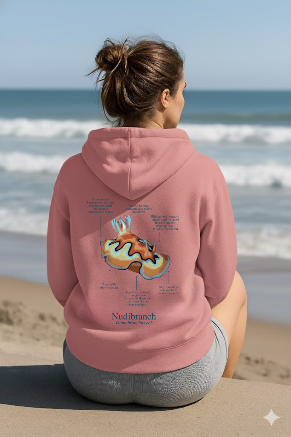 Hoodie (NEW) Nudi colores claros