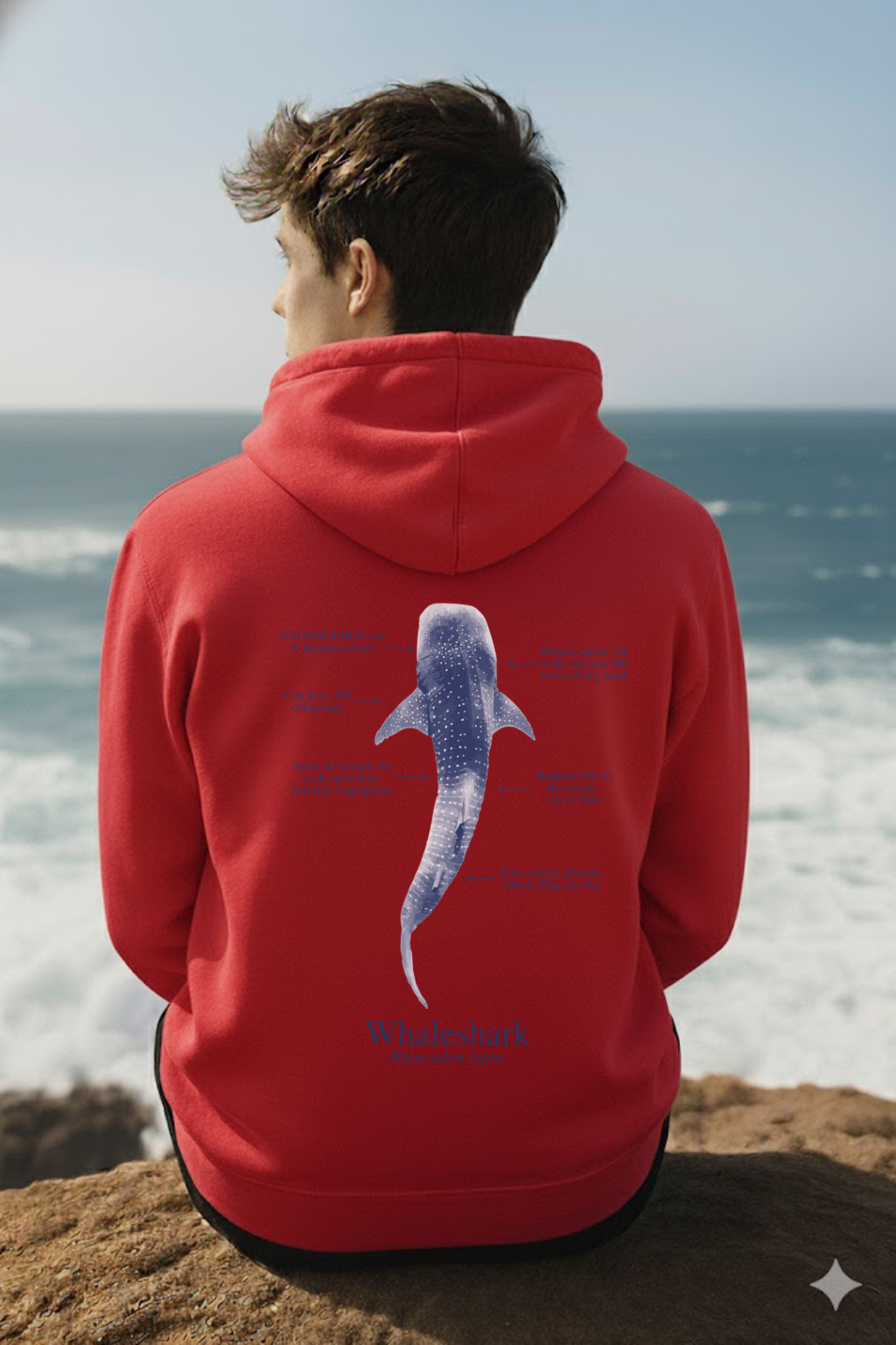 Hoodie (NEW) Tiburón Ballena colores claros