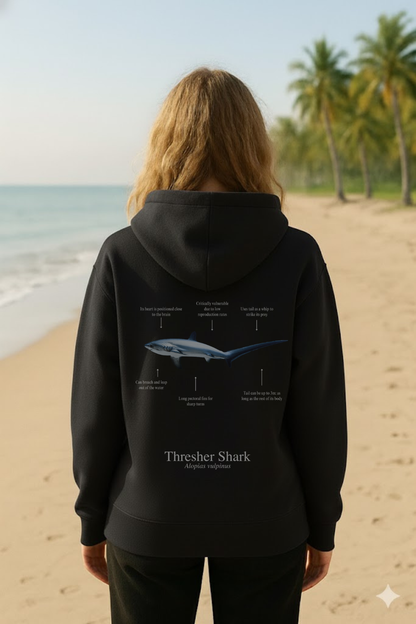 Hoodie (NEW) Tiburón Zorro